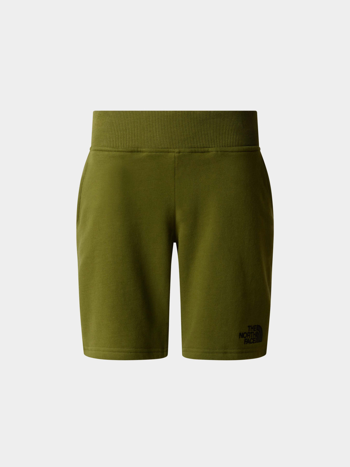 Шорты The North Face модель NF0A89P0PIB1 Фото