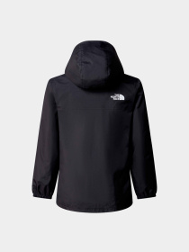 Куртки и дубленки The North Face модель NF0A89PBJK31 Фото