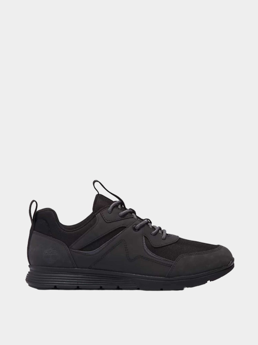 Кроссовки Timberland модель TB0A6A31EDG1 Фото