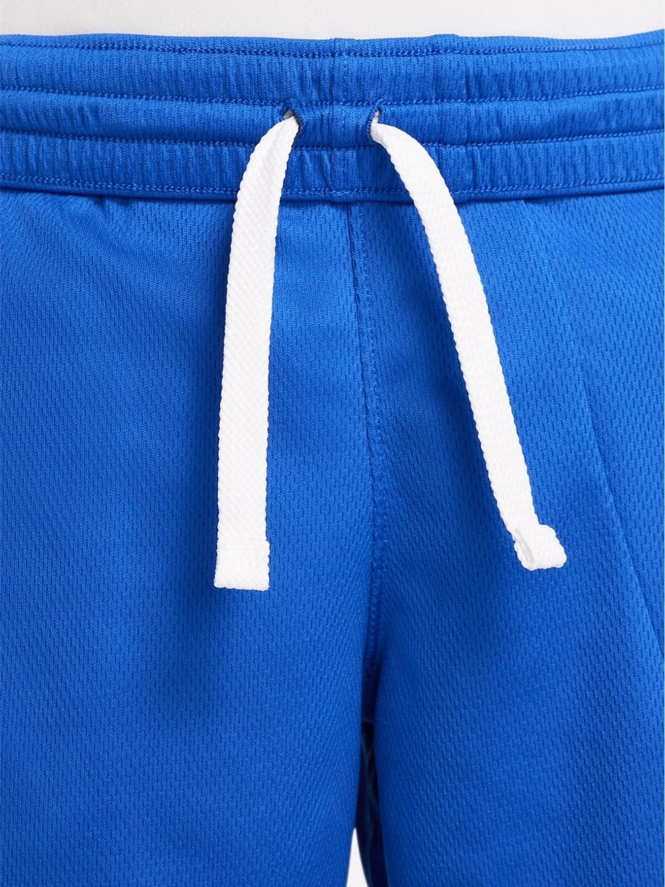 Шорты NIKE модель DM8186-480 Фото
