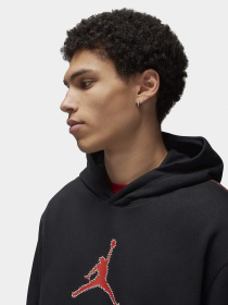 Худи и свитшоты NIKE модель FN6352-010 Фото