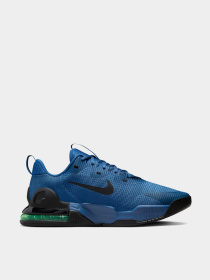 Кроссовки NIKE модель DM0829-403 Фото