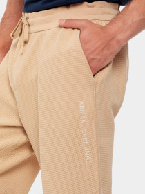 Брюки Armani Exchange модель 3DZPHA-ZJXQZ-1794 Фото