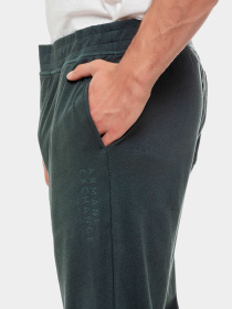Брюки Armani Exchange модель 3DZPJP-ZJY9Z-1839 Фото