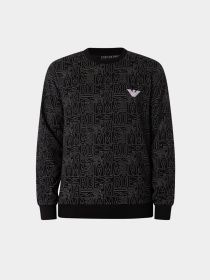 Худи и свитшоты Emporio Armani модель 111785-4R566-17520 Фото