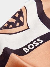 Шарфы и платки Boss модель 50508619-002 Фото