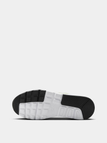 Кроссовки NIKE модель CW4554-117 Фото