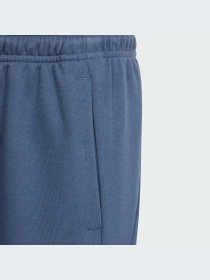 Брюки Adidas Культовые силуэты модель IS4395-KZ Фото