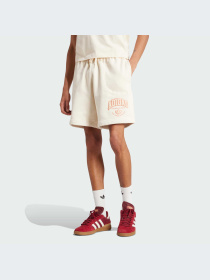 Шорты Adidas Graphics модель IS0189-KZ Фото