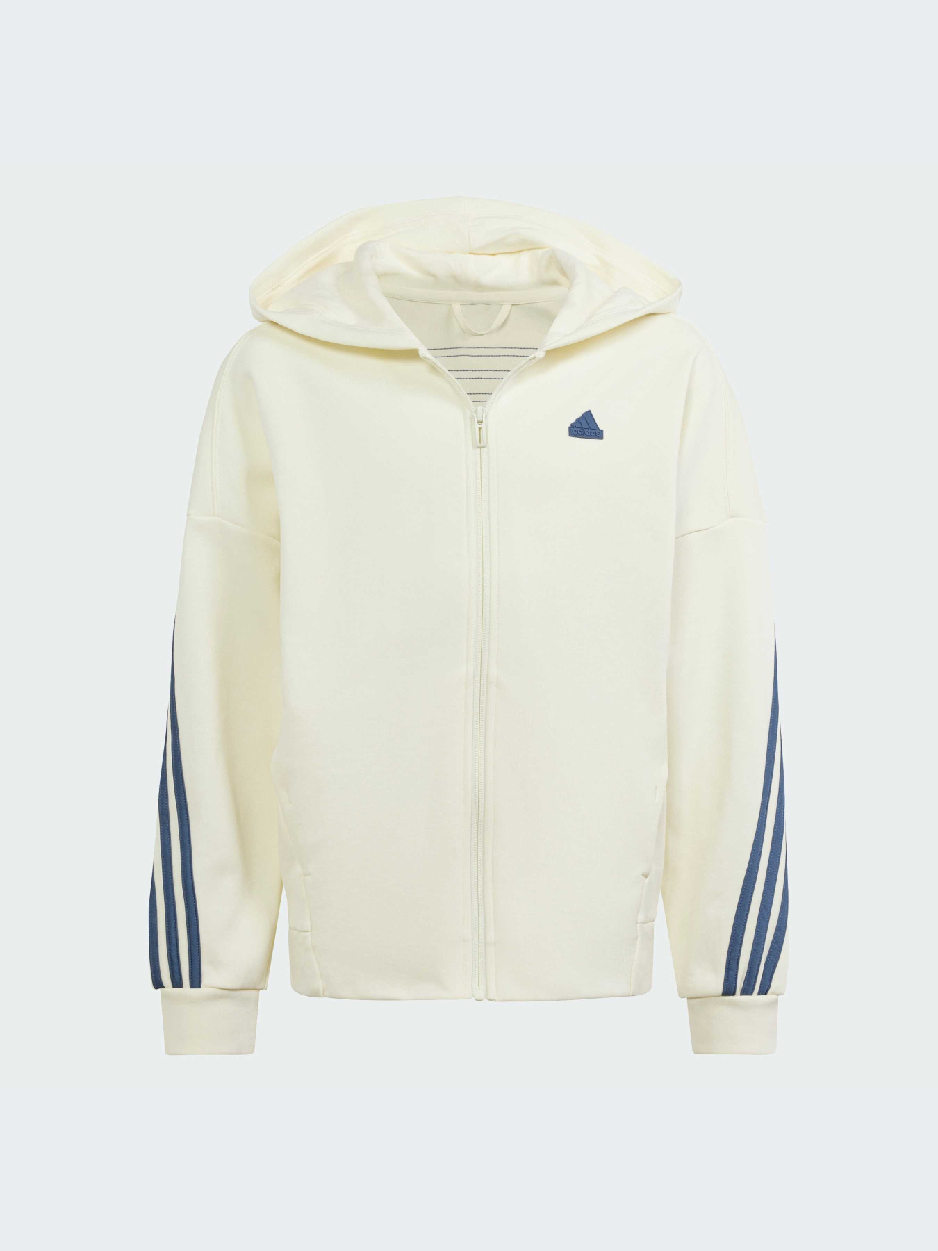 Худи и свитшоты Adidas модель IS4422-KZ Фото
