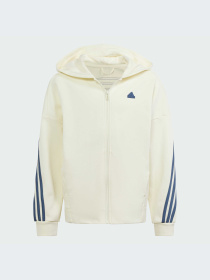 Худи и свитшоты Adidas модель IS4422-KZ Фото
