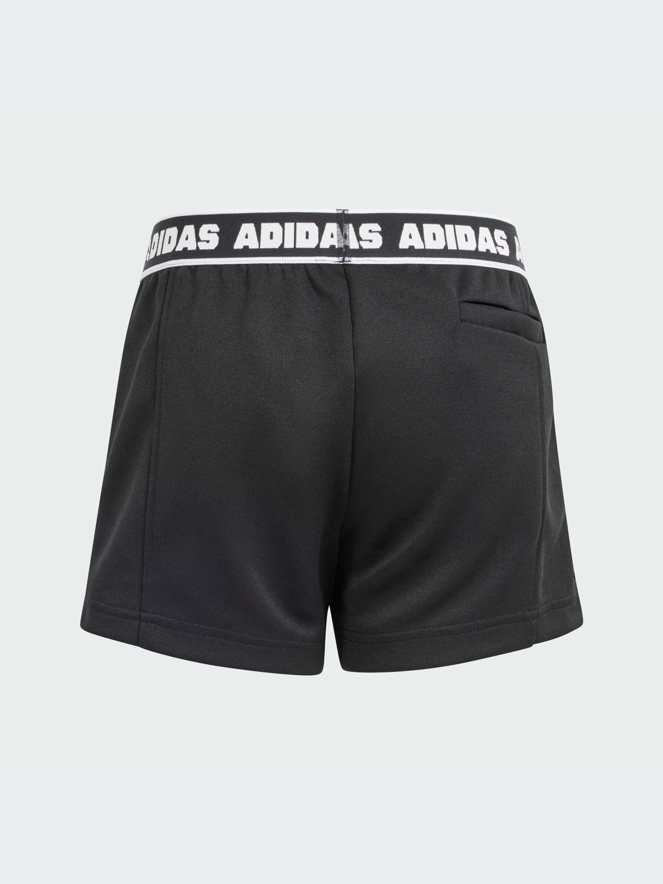 Шорты Adidas модель IS3772-KZ Фото