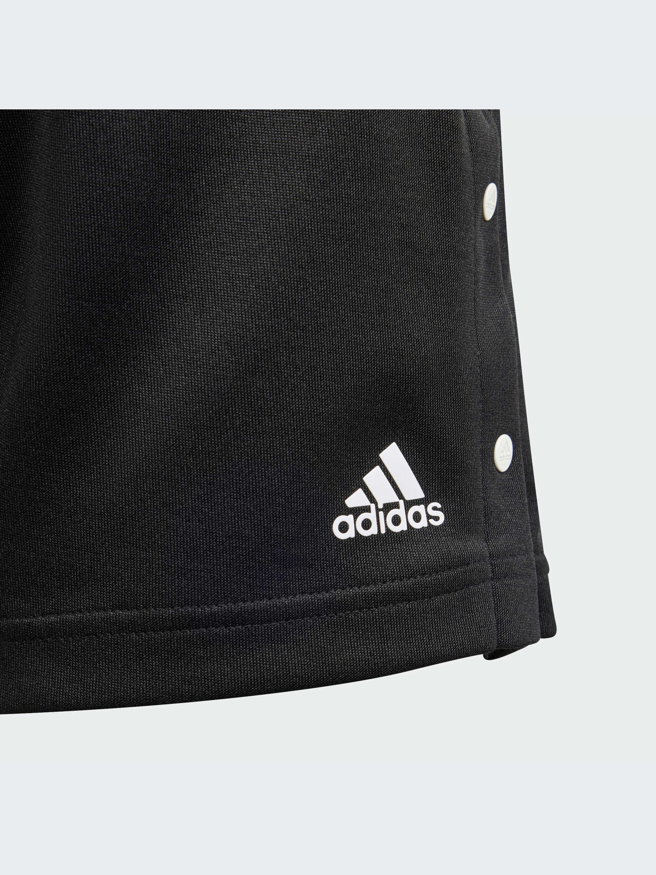 Шорты Adidas модель IS3772-KZ Фото