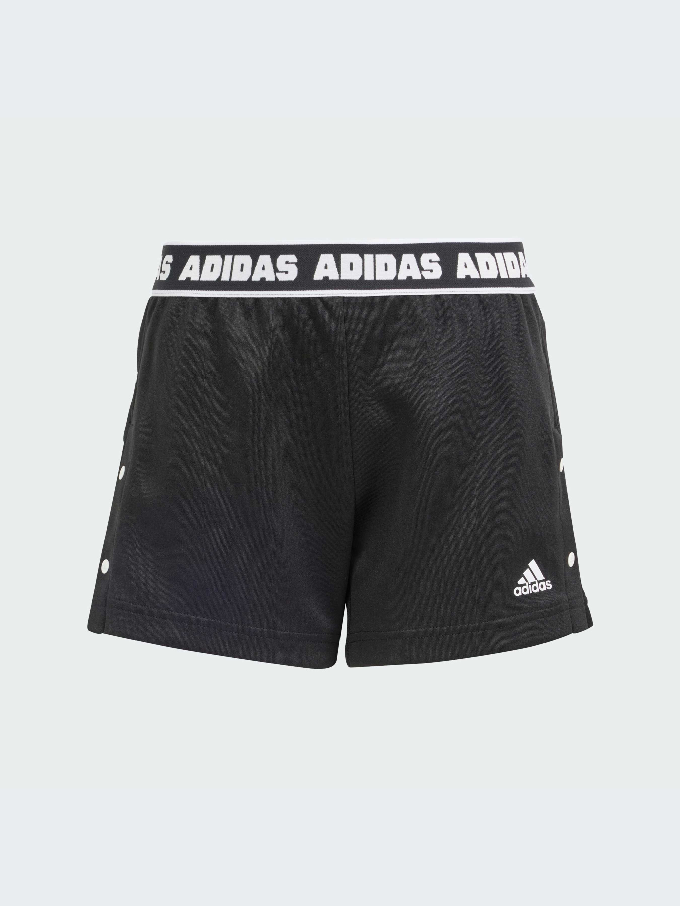 Шорты Adidas модель IS3772-KZ Фото