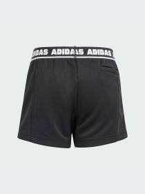 Шорты Adidas модель IS3772-KZ Фото