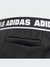 Шорты Adidas модель IS3772-KZ Фото