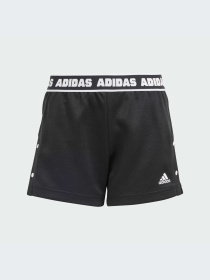 Шорты Adidas модель IS3772-KZ Фото