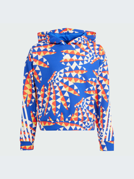 Худи и свитшоты Adidas модель IP1840-KZ Фото