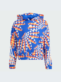 Худи и свитшоты Adidas модель IP1840-KZ Фото