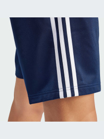 Шорты Adidas Adicolor модель IM9422-KZ Фото