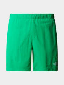 Шорты The North Face модель NF0A5IG5PO81 Фото