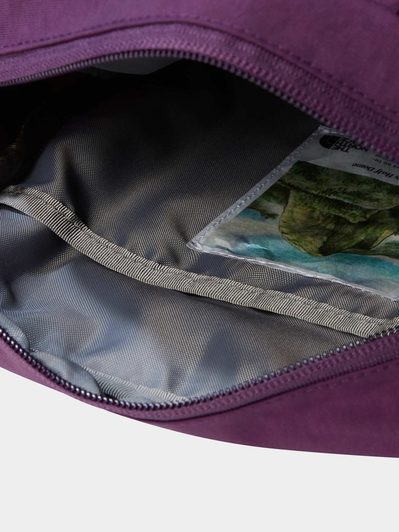 Сумки The North Face модель NF0A52VTTIH1 Фото