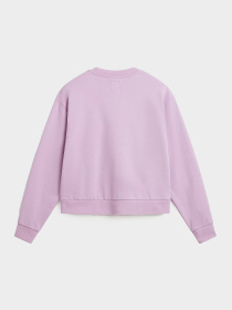 Худи и свитшоты Vans модель VN000JF5CR31 Фото