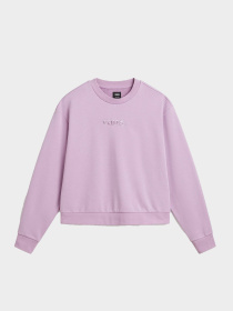 Худи и свитшоты Vans модель VN000JF5CR31 Фото