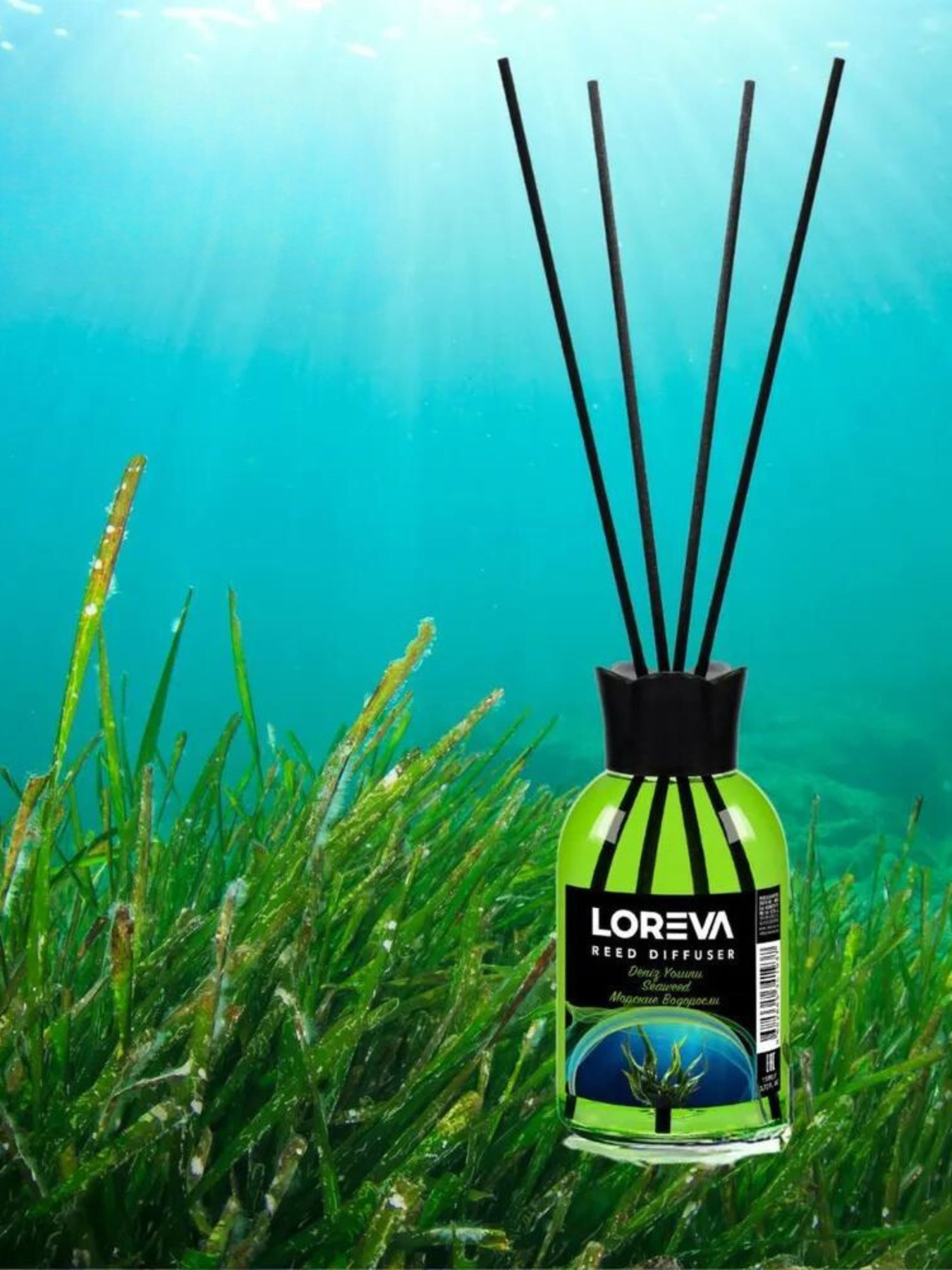 Аромадиффузор для дома Loreva Морские водоросли 110ml Loreva модель 002-08 Аромадиффузор для дома Loreva Морские водоросли 110ml Loreva модель 002-08 Фото