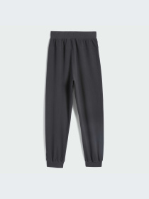 Брюки Adidas модель IT2474-KZ Фото