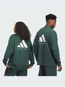 Худи и свитшоты Adidas модель IT4507-KZ Фото