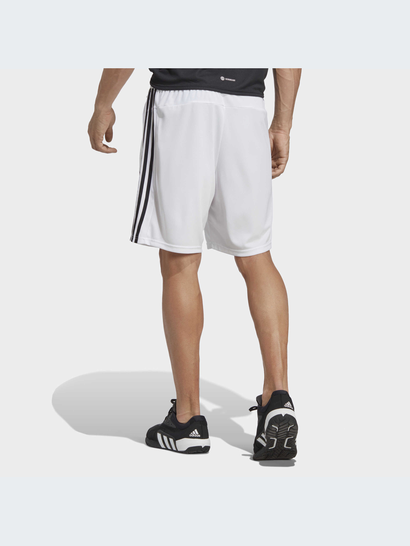 Шорты Adidas модель IB8244-KZ Фото