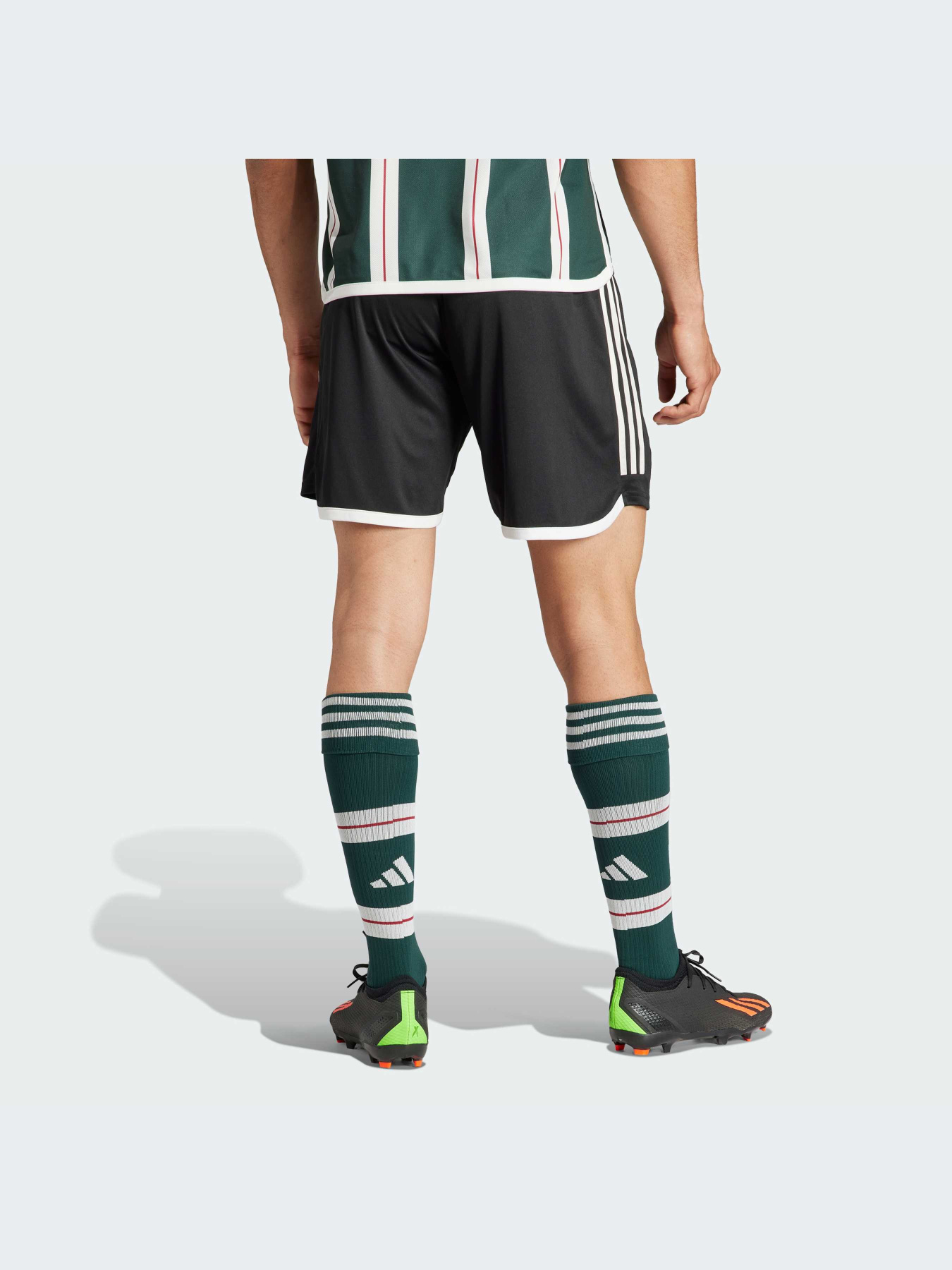 Шорты Adidas модель HR3683-KZ Фото