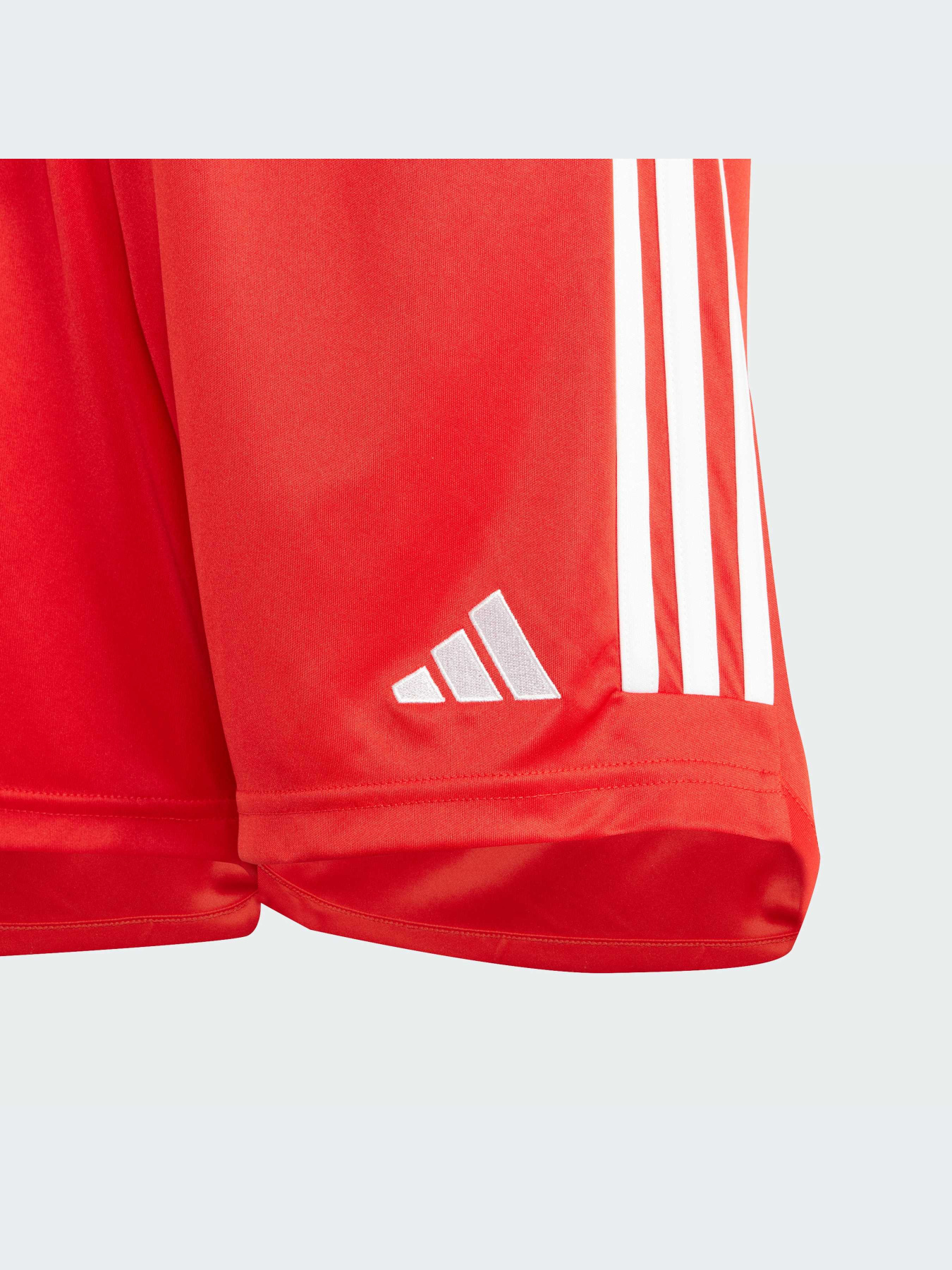 Шорты Adidas модель IB1490-KZ Фото