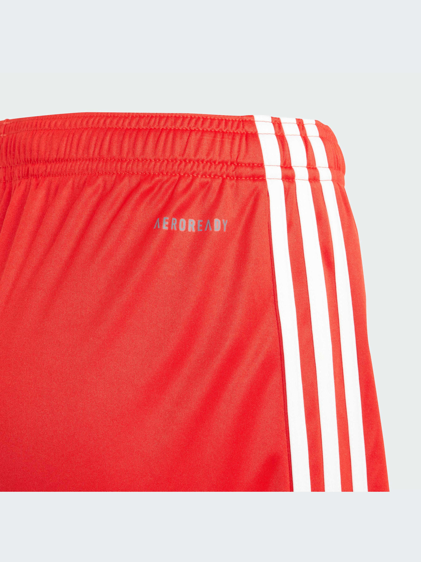 Шорты Adidas модель IB1490-KZ Фото