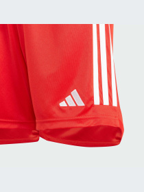 Шорты Adidas модель IB1490-KZ Фото