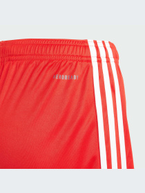 Шорты Adidas модель IB1490-KZ Фото