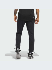 Брюки Adidas модель IJ0283-KZ Фото