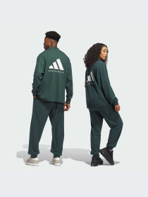 Брюки Adidas модель IT2475-KZ Фото