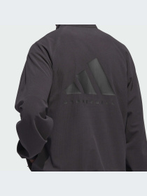 Худи и свитшоты Adidas модель IT2471-KZ Фото