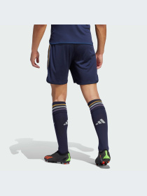 Шорты Adidas модель HR3800-KZ Фото
