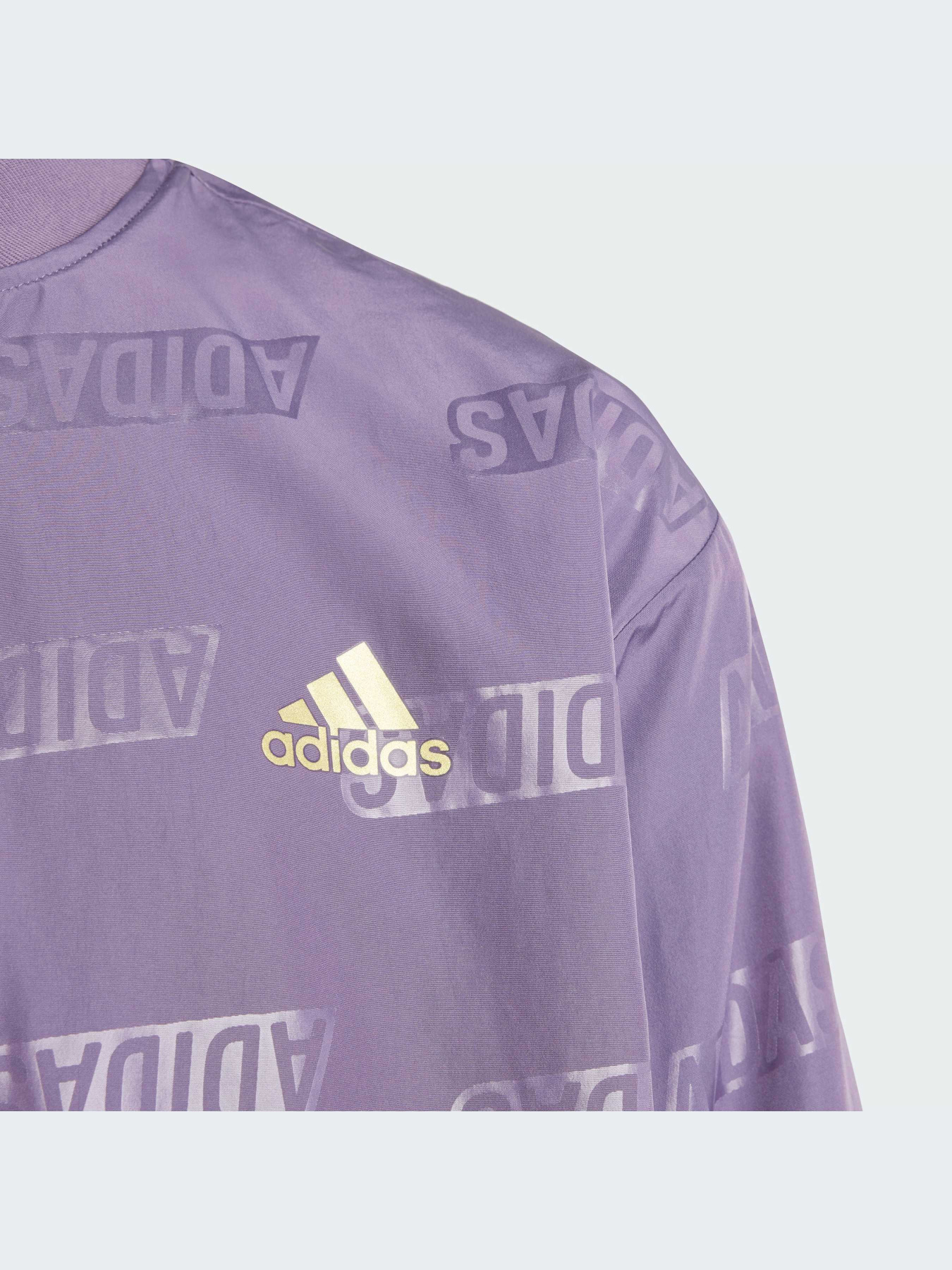 Куртки и дубленки Adidas модель IA1554-KZ Фото