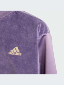 Куртки и дубленки Adidas модель IA1554-KZ Фото