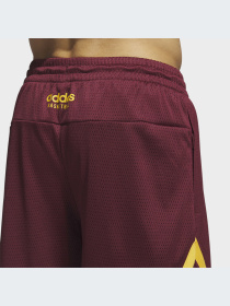 Шорты Adidas модель IM4207-KZ Фото