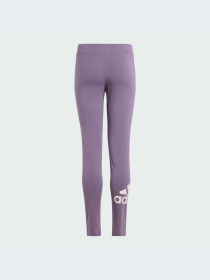 Брюки Adidas модель IM0290-KZ Фото