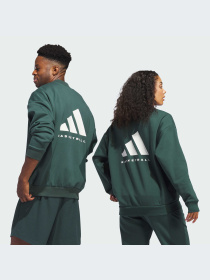 Худи и свитшоты Adidas модель IM8421-KZ Фото