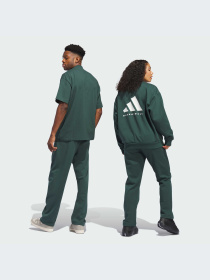 Брюки Adidas модель IM8427-KZ Фото