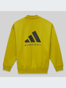 Худи и свитшоты Adidas модель IN4245-KZ Фото
