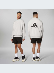 Худи и свитшоты Adidas модель IN4244-KZ Фото