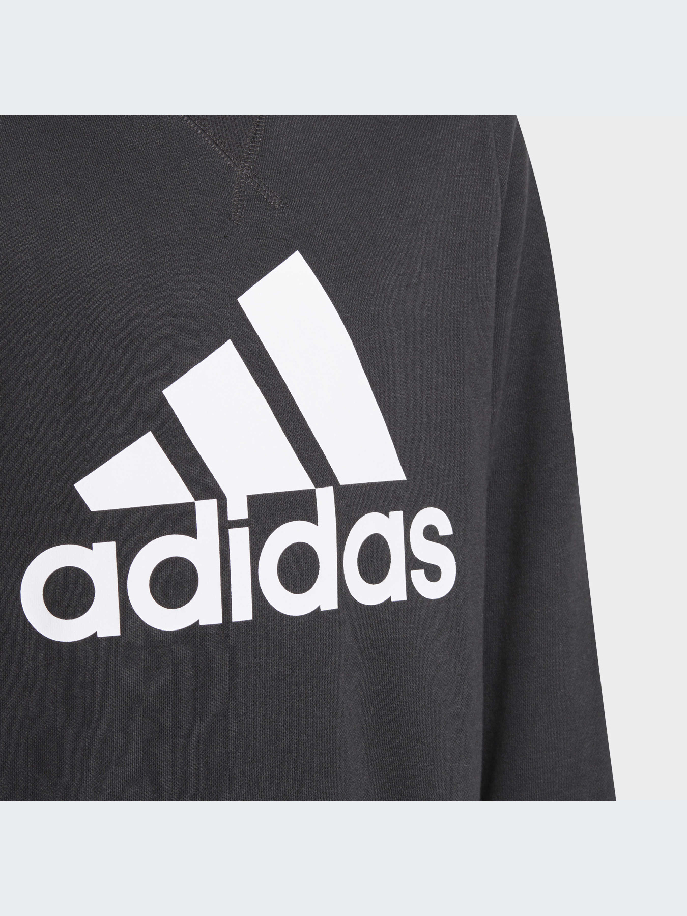Худи и свитшоты Adidas модель GN4029-KZ Фото